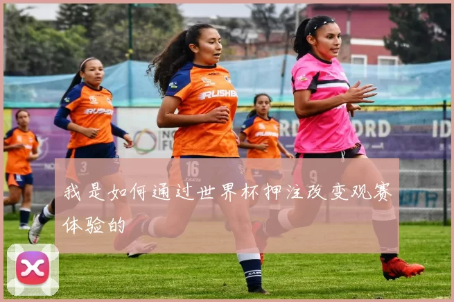 我是如何通过世界杯押注改变观赛体验的