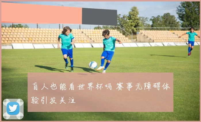 盲人也能看世界杯吗 赛事无障碍体验引发关注