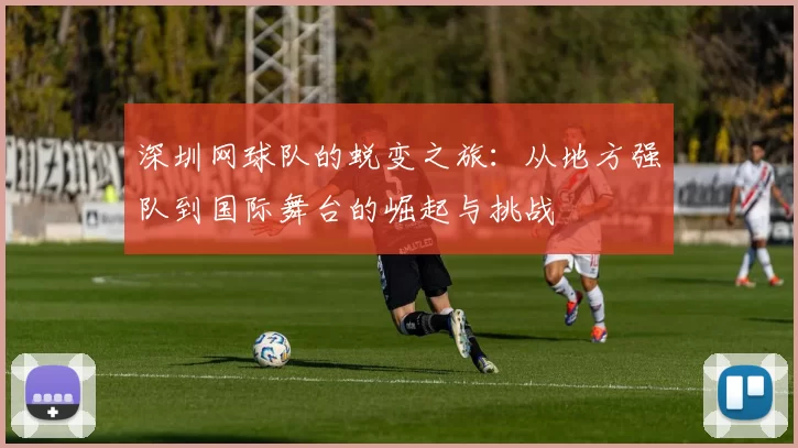 深圳网球队的蜕变之旅：从地方强队到国际舞台的崛起与挑战