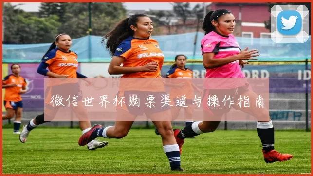 微信世界杯购票渠道与操作指南