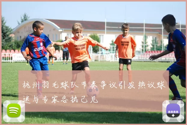 杭州羽毛球队节奏争议引发热议球迷与专家各执己见