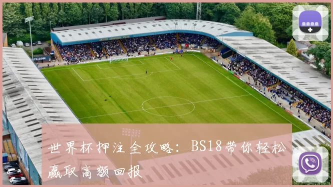 世界杯押注全攻略：BS18带你轻松赢取高额回报
