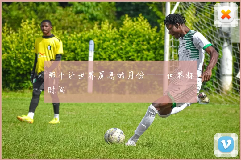 那个让世界屏息的月份——世界杯时间