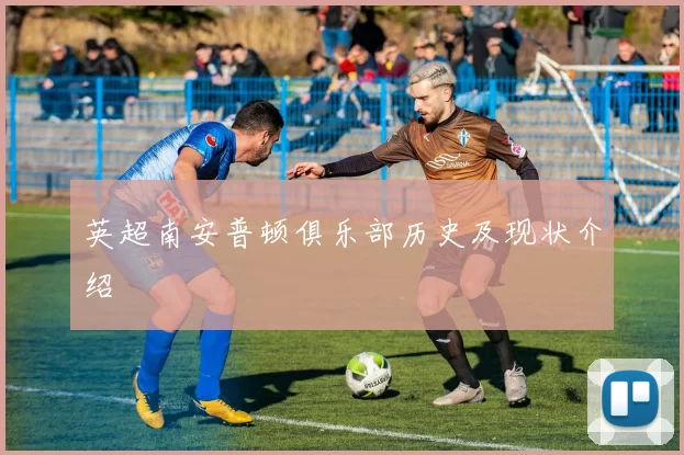 英超南安普顿俱乐部历史及现状介绍