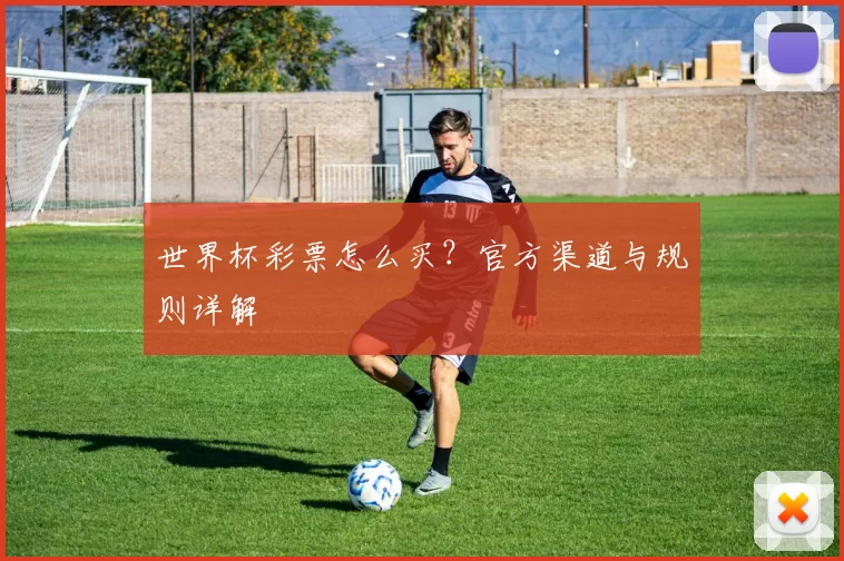 世界杯彩票怎么买？官方渠道与规则详解