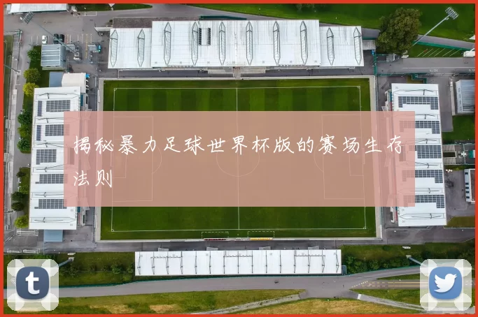 揭秘暴力足球世界杯版的赛场生存法则