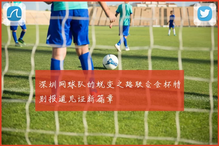 深圳网球队的蜕变之路联合会杯特别报道见证新篇章